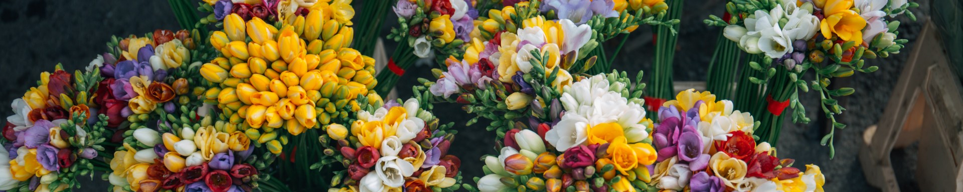 Photo by <a href="https://unsplash.com/@alisaanton" target="_blank">Alisa Anton</a> on <a href="https://unsplash.com/?utm_source=unsplash&amp;utm_medium=referral&amp;utm_content=creditCopyText" target="_blank">Unsplash</a>