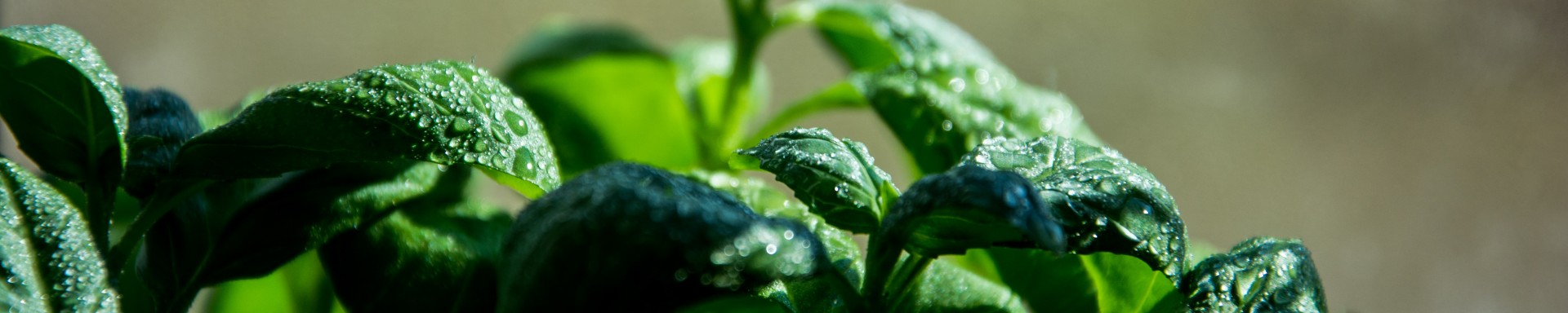 Photo by <a href="https://unsplash.com/@new_memel_photography" target="_blank">Arūnas Naujokas</a> on <a href="https://unsplash.com/?utm_source=unsplash&amp;utm_medium=referral&amp;utm_content=creditCopyText" target="_blank">Unsplash</a>